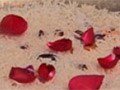Rose Petal Rice