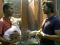 Keith visits Sanjay Gandhi Animal Care Centre in Delhi