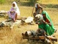 Video: Farmers sit with kerosene on pyres protesting land acquisition in Madhya Pradesh