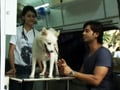 Keith travels with 'Vet on Wheels'