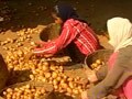 Video: FDI hot potato in Parliament: The 'McAloo wars'