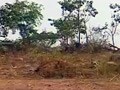 Video : Juhu residents' fight for green spaces