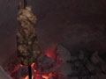 Chicken Kebab Flavoured with Coriander
