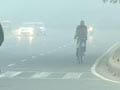 Video: Cold wave continues in Delhi; fog disrupts flights, trains