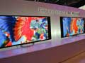 thumb_262405_1358760900.jpg