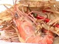 Steamed tiger prawns