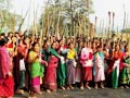 Video : Ten killed in police firing during Panchayat polls in Assam