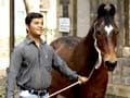 Meet the hard working animals