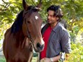 Bonding with the horses