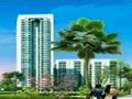 Video : Hot properties for sale
