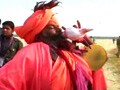 Video : The Saffron Story