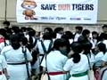 Kids for tiger's festival in Mumbai
