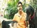 Promo: Heavy Petting - It's a dog's life