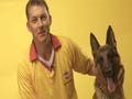 Promo: Heavy Petting with Brett Lee