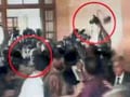 Video: Shoe hurled at Pervez Musharraf as he appears before Sindh High Court