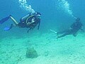 Rasik, Anushka explore adventurous Thailand