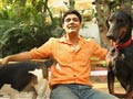 Promo: Paras Tomar meets a foodie pet