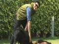 Promo: Paras meets 11 adorable pets