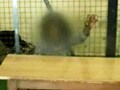 Video: 10-year-old alleged rape survivor locked up in jail due to 'misunderstanding', say cops