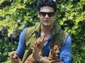 11 dogs, a close knit family and Paras