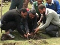 Video: Young volunteers trying to recover the Valley's green treasure