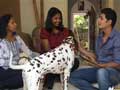 Paras plays around with three Dalmatians in Coimbatore