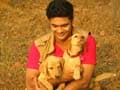Promo: Paras plays around with adorable pets