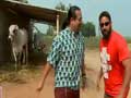 Promo: Rocky, Mayur meet the Ongole cattle