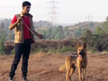 Paras plays around with Simba, Rani and the adorable pups