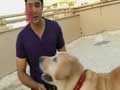 Promo: Paras meets a lovely Labrador duo and a playful Pug