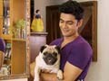 Paras plays around with mother-daughter Labrador duo and a Pug