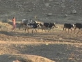 Video : Drought in Maharashtra: natural calamity or self-made?