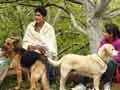 Paras' encounter with Sultan and Daisy in Shimla