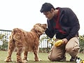 Three amazing dogs give Paras company in Baldeyan