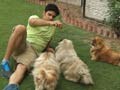 Paras' encounter with 11 adorable dogs
