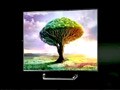 Video : LG announces Ultra HD TV