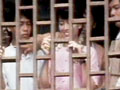 The World This Week: Caging democracy (Aired: November 1990)