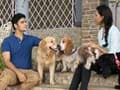 Paras plays around with 6 cuddly fur babies in Guwahati