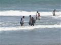 Video: Illegal road on a beach