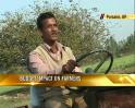 Video: Budget impact on farmers