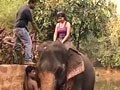 No Big Deal in Goa