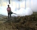 Video: Malaria mayhem in Mumbai, 775 new cases in 5 days