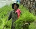Video: A new green revolution in Kerala?