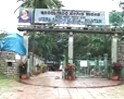 Tubaah.com