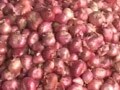 Video : Govt crackdown on onion hoarders