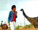 Maharashtra: Neral’s natural grace