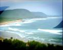 Why is it so important to save beaches?