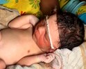 Tubaah.com