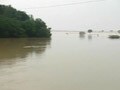 Video: Flood havoc in Cuddalore