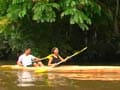 Lost in the rainforests of Borneo